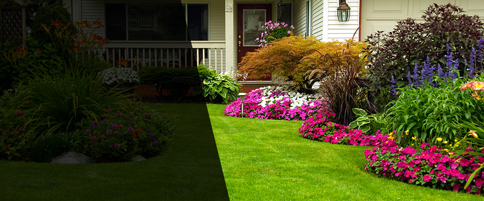 Nephi Landscapers