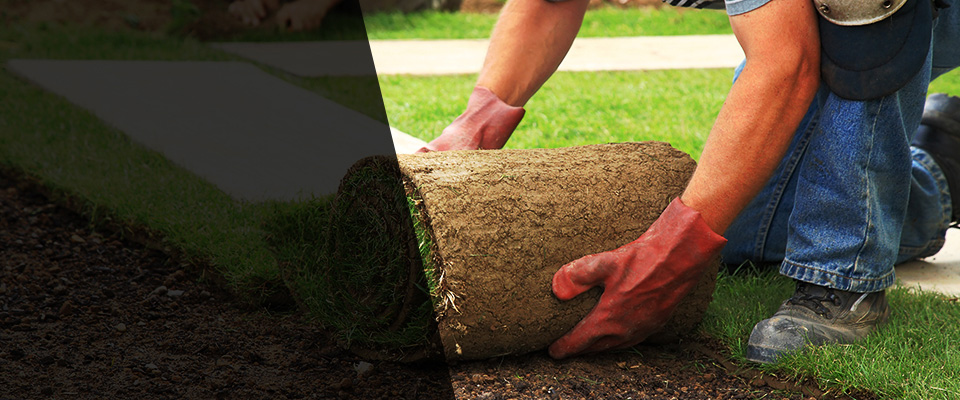 Nephi Landscapers